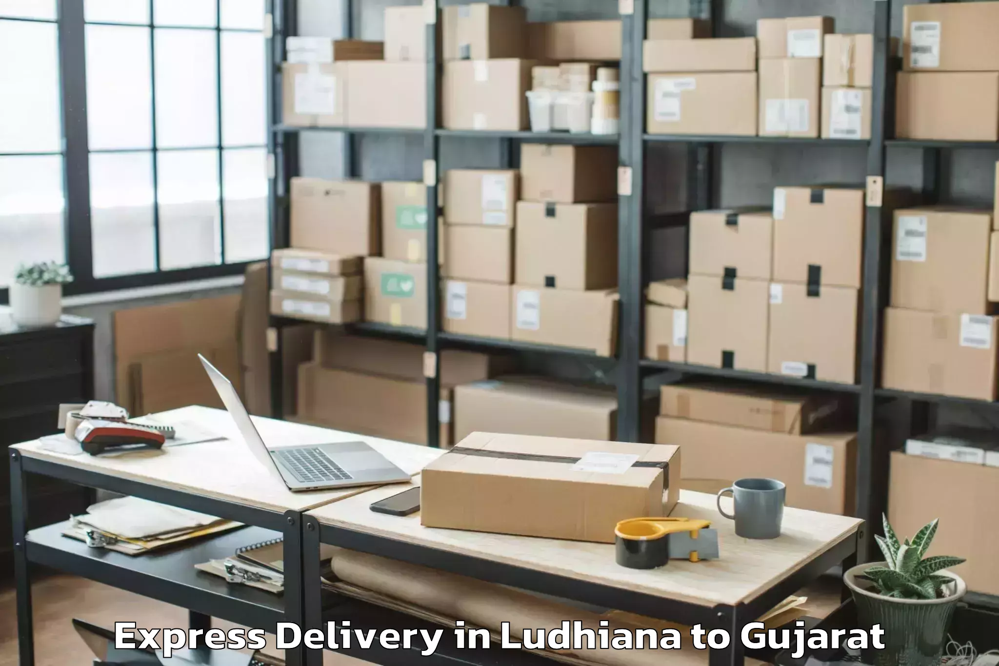 Discover Ludhiana to Gujarat National Law Universit Express Delivery